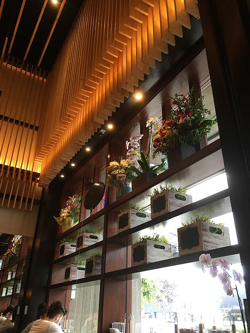 白鶏らーめん＠天天有