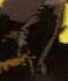 20161203006.png
