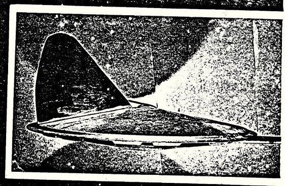 fbiufodocument2.jpg