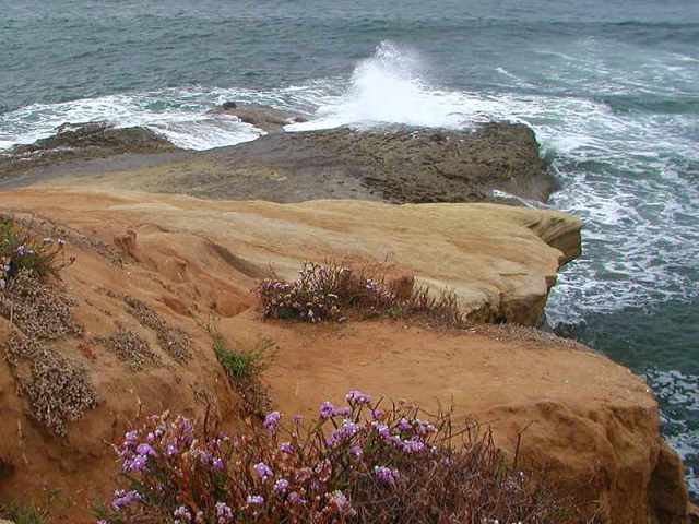 クリック → Java JavaScript DHTML XML CSS フレームサンプル・応用方法などを、NewWinでOpen!、(^。^)