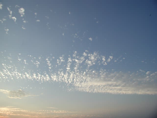 クリック → Java JavaScript DHTML XML CSS フレームサンプル・応用方法などを、NewWinでOpen!、(^。^)