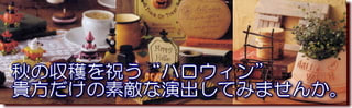 秋の収穫を祝う「ハロウィン」あなただけの素敵な演出してみませんか