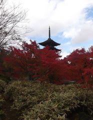 定義山の紅葉と謎の定義温泉 １ 山形夢横丁