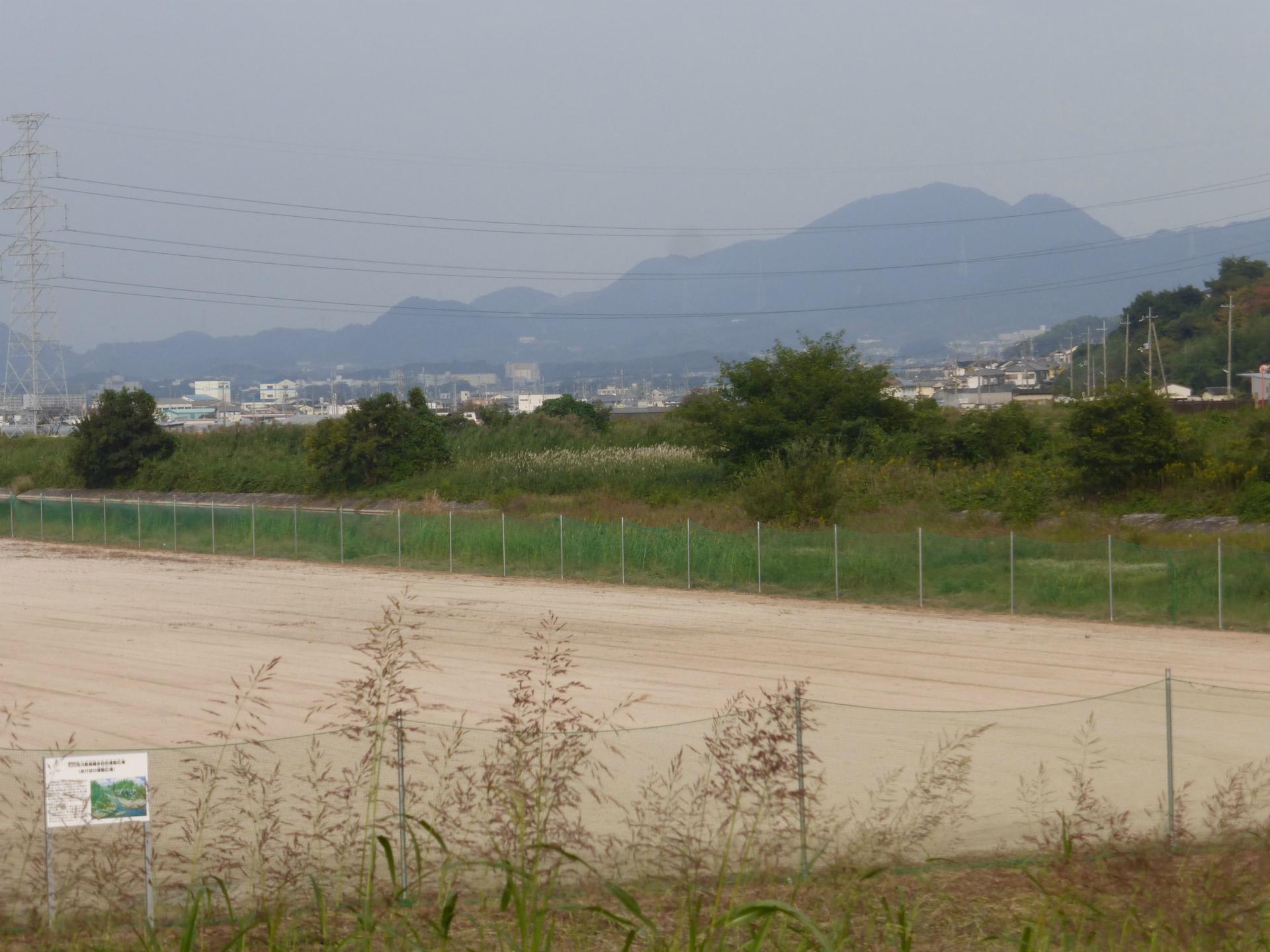 その後の石川足跡化石 化石木 ２０１６ １０ 南河内フィルムコミッション富田林石川アケボノゾウ