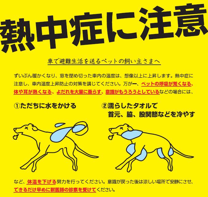 パトカーの中で短時間で警察犬が2匹熱中症で死んでしまい 悔やんだ警察官が自殺未遂 ケイの頭ん中 偽りの笑顔で