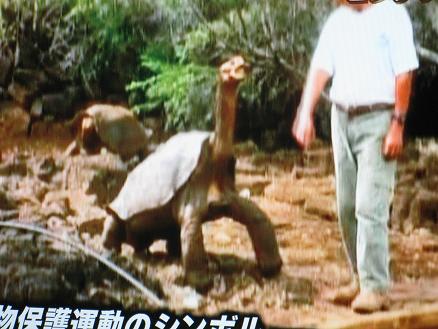 ロンサム ジョージのいないダーウィン研 セカイスケッチ