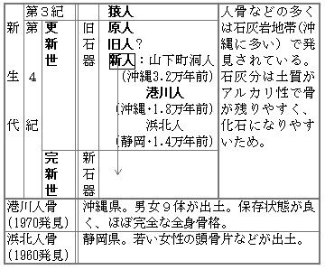 4化石人骨の覚え方 ｂ 東海林直人のゴロテマ日本史ブログ