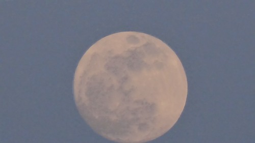 DSC00507.jpg