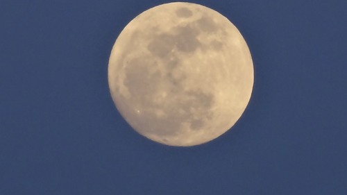 DSC00514.jpg