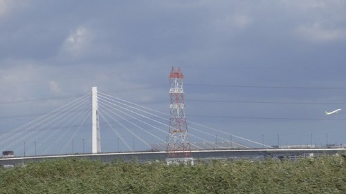 DSC01613.jpg