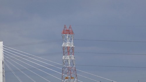 DSC01614.jpg