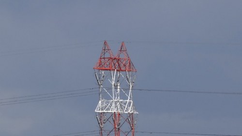 DSC01615.jpg