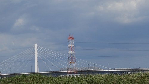 DSC01616.jpg