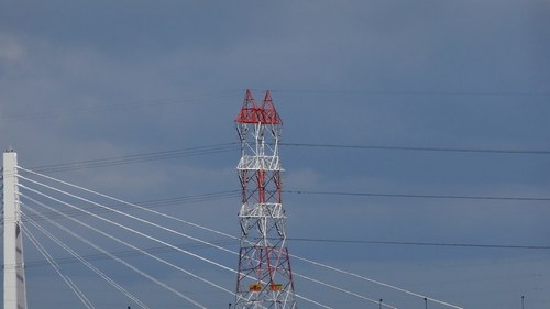 DSC01617.jpg
