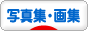 にほんブログ村 本ブログ 写真集・画集へ