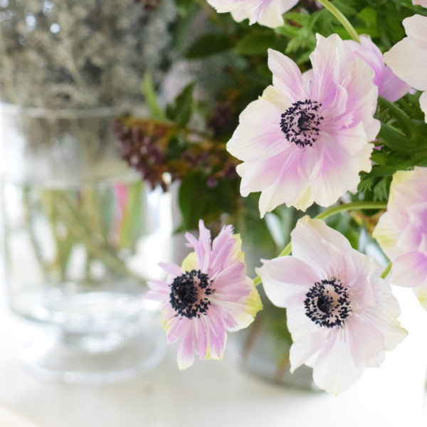素敵なアネモネでした 淡い色の紫が市場でも フラワーレッスンでも大好評でした 横浜 東京 大きなフラワーアレンジメント教室 ブーケット パフューム