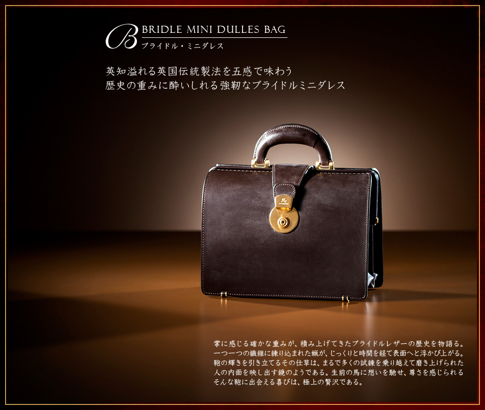 ブライドル・ミニダレス