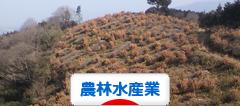 にほんブログ村 企業ブログ 農業・林業・水産業へ