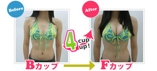 芸能事務所も採用している自宅で簡単に出来るバストアップ豊胸法『B-UPガールズ』
