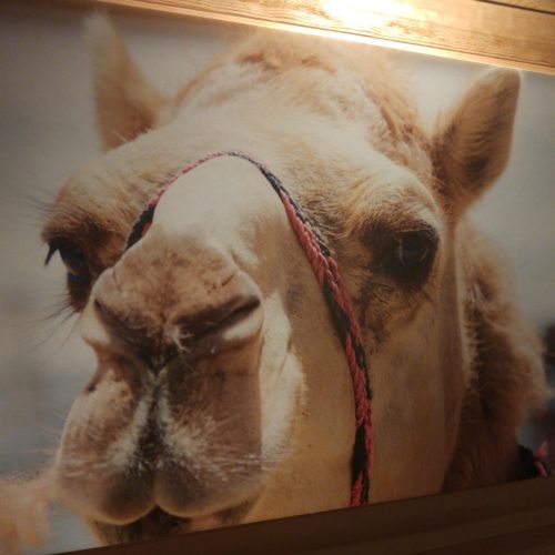 img_20170901_104152_611