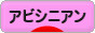 にほんブログ村 猫ブログ アビシニアンへ