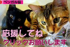 にほんブログ村 猫ブログ ベンガル猫へ