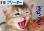 にほんブログ村 猫ブログ 猫 ブリーダーへ