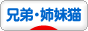 にほんブログ村 猫ブログ 兄弟猫・姉妹猫へ