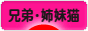 にほんブログ村 猫ブログ 兄弟猫・姉妹猫へ