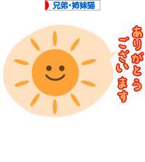 にほんブログ村 猫ブログ 兄弟猫・姉妹猫へ