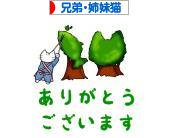 にほんブログ村 猫ブログ 兄弟猫・姉妹猫へ
