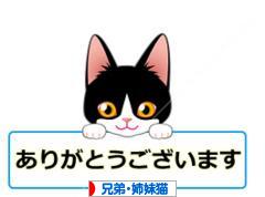 にほんブログ村 猫ブログ 兄弟猫・姉妹猫へ