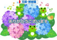 にほんブログ村 猫ブログ 兄弟猫・姉妹猫へ