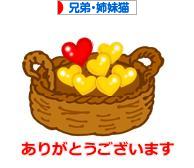 にほんブログ村 猫ブログ 兄弟猫・姉妹猫へ