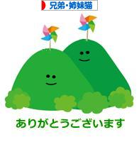 にほんブログ村 猫ブログ 兄弟猫・姉妹猫へ