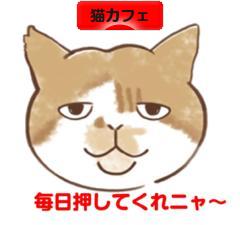 にほんブログ村 猫ブログ 猫カフェへ