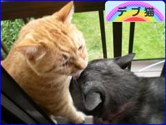 にほんブログ村 猫ブログ デブ猫へ