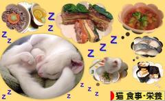 にほんブログ村 猫ブログ 猫 食事・栄養へ