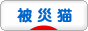 にほんブログ村 猫ブログ 被災猫へ