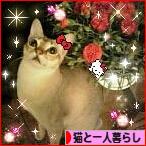 にほんブログ村 猫ブログ 猫と一人暮らしへ