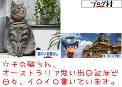 にほんブログ村 猫ブログ 猫のいる暮らしへ