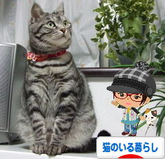 にほんブログ村 猫ブログ 猫のいる暮らしへ