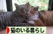 にほんブログ村 猫ブログ 猫のいる暮らしへ