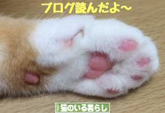 にほんブログ村 猫ブログ 猫のいる暮らしへ
