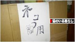 にほんブログ村 猫ブログ 猫のいる暮らしへ