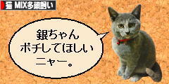 にほんブログ村 猫ブログ 猫 MIX多頭飼いへ