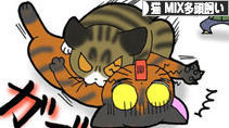 にほんブログ村 猫ブログ 猫 MIX多頭飼いへ