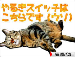 にほんブログ村 猫ブログ 猫 親バカへ