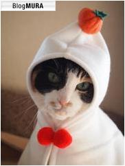 にほんブログ村 猫ブログ 猫 思い出・ペットロスへ