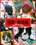 にほんブログ村 猫ブログ 猫絵・猫漫画へ